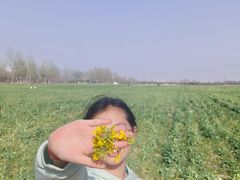 -汉长安城未央宫国家考古遗址公园