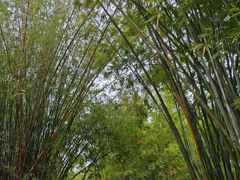 -晓港公园