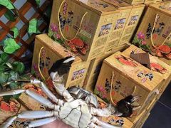 -渔娘蟹庄(阳澄湖莲花岛店)