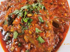 藿香豆瓣鱼-青城甲(青城山店)