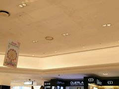 -新罗免税店(首尔总店)