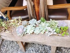 -都氏家DUSJOY(翡翠城店)