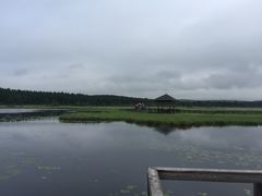 -塞罕坝国家级自然保护区