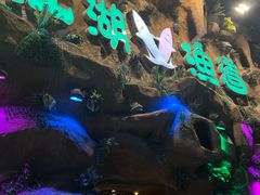 -江湖渔道(万泰汇店)