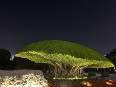 -南宁南湖公园