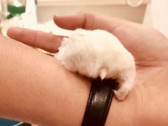 -牧歌KTV(广济南路店)