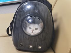-喜多萌中农锦绣动物医院24H·猫科·牙科MRI·CT