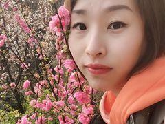 -青岛崂山太清宫