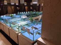 -旺顺阁海鲜广场(亚运村店)