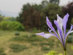 -国家植物园