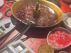 -小龙翻大江文化火锅(宽窄店)