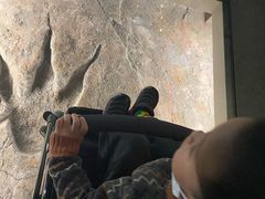 -湖南省地质博物馆