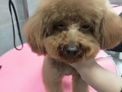 -宠福鑫康馨动物医院·骨科·眼科