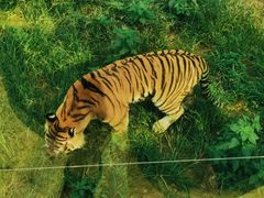 -大连森林动物园