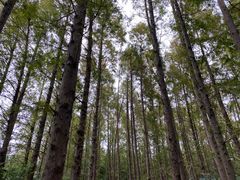 -同里国家湿地公园