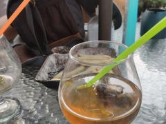 -柴犬高等学院·狗咖·柴犬售卖·宠物训练