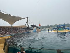 -秦皇岛乐岛海洋王国