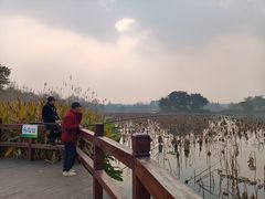 -白鹭湾湿地公园