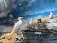 -梦幻海洋王国(吾悦广场张家港店)
