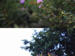 -鼓浪屿内厝澳码头(轮渡站)