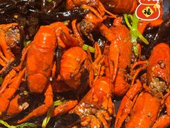 -一棠龙虾•王牌虾球(恒隆广场店)