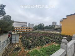 -宝通禅寺