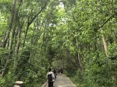 -同里国家湿地公园