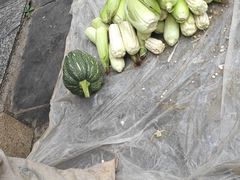 -名花谷生态庄园