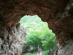 -大连天门山国家森林公园
