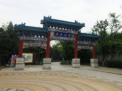 -云岗森林公园