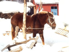 iphone_upload_pic-雪谷