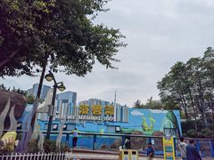 -海合安成都极地海洋公园