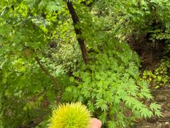 -丹东天桥沟景区