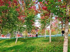 -九鼎铁刹山风景区