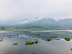 -腾冲北海湿地