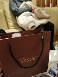 -Yestar宁波艺星整形医院