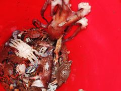 -宝岛眼镜(福州宝龙二店)