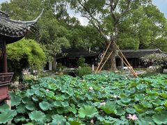 -上海醉白池公园
