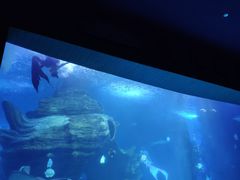 -多彩贵州城极地海洋世界