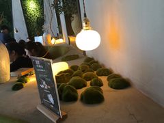 -狐狸爱上椰子鸡(滨江星光大道店)