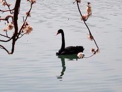 -颐和园