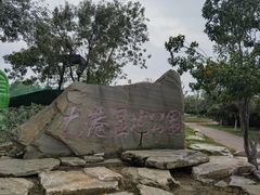-大港湿地公园