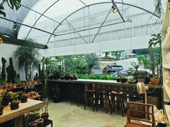 -自由生长植物工作室(深港花卉中心店)