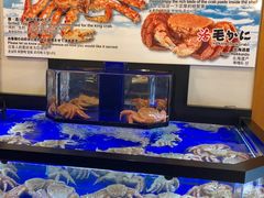 -蟹道乐(道顿堀本店)