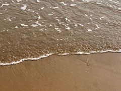 -日照海滨国家森林公园