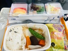 -全日本空输株式会社(上海办事处)