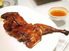 -沪碟·精菜坊(闵行店)