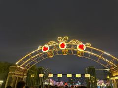-武汉知音号