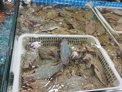 -三旗百汇商品城