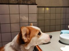 -集渔·泰式海鲜火锅(科华店)
